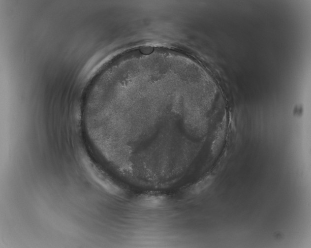 X0000112860247200909181808