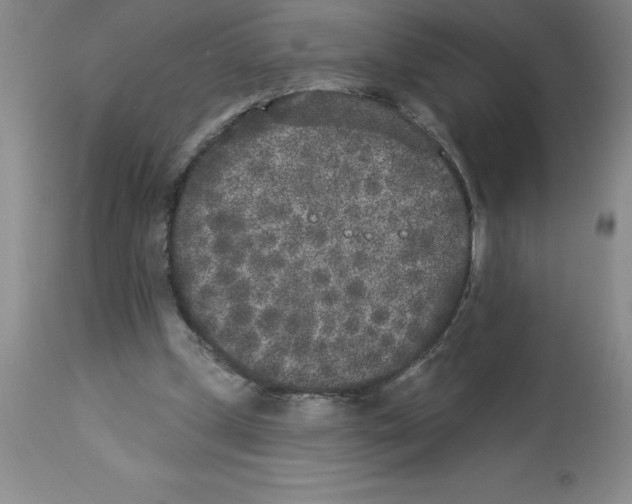 X0000112860249200909181808