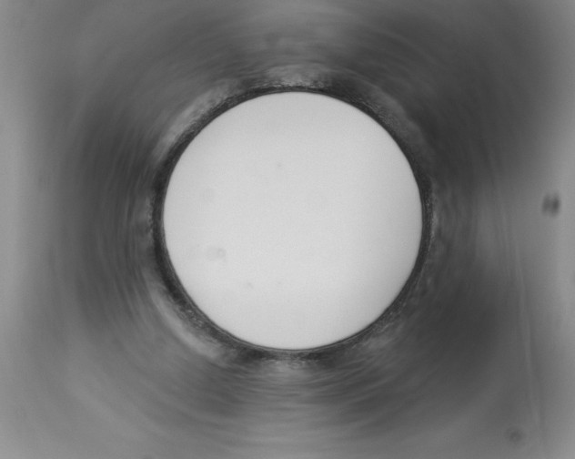 X0000112860250200909181808