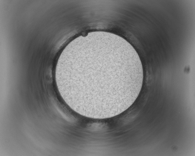 X0000112860251200909181808