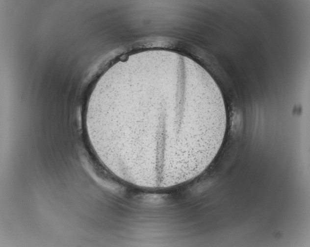X0000112860254200909181808
