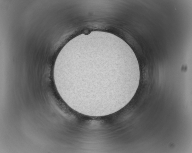 X0000112860255200909181808