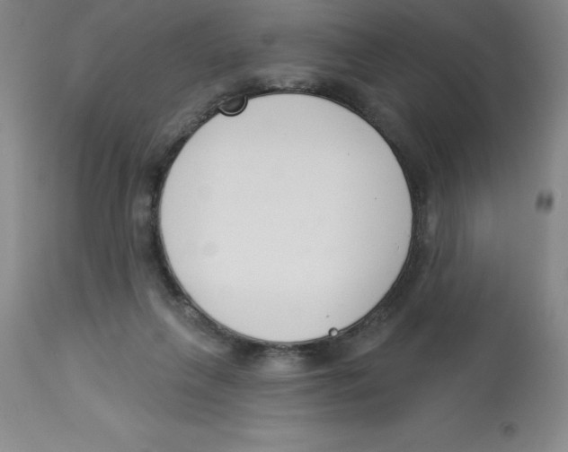 X0000112860263200909181808