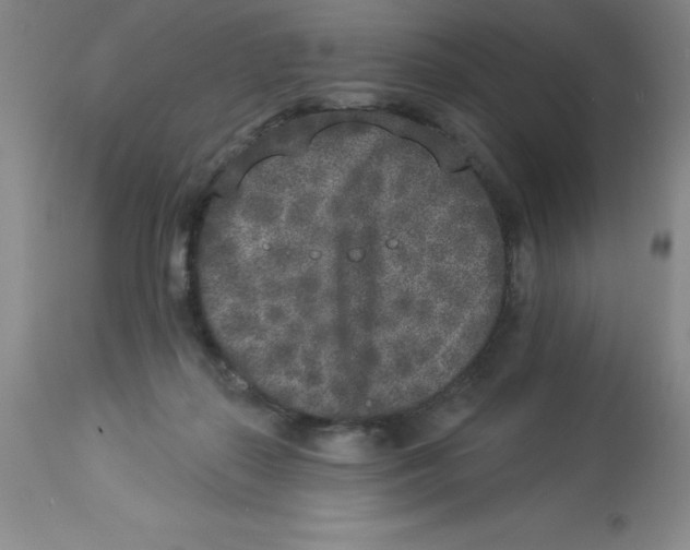 X0000112860267200909181808