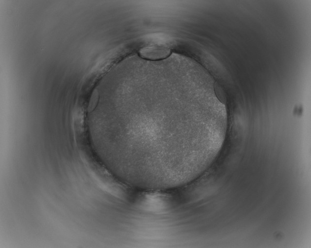 X0000112860268200909181808