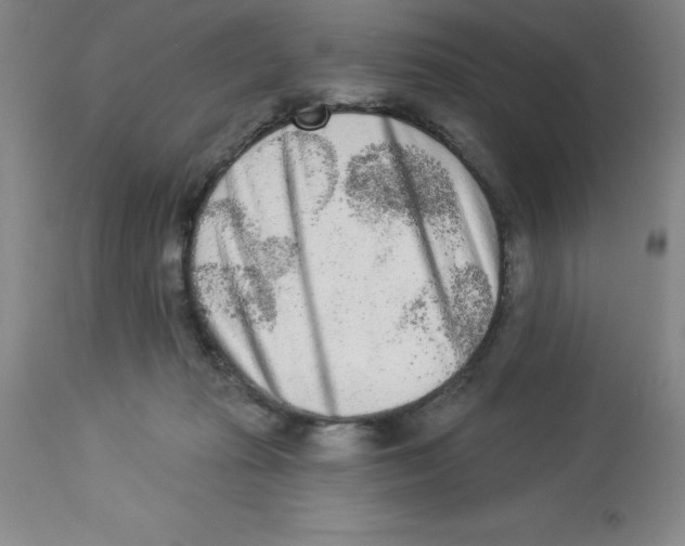 X0000112860269200909181808