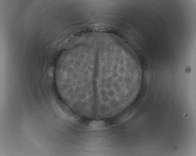 X0000112860271200909181808