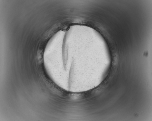 X0000112860273200909181808