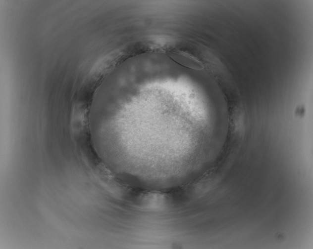 X0000112860276200909181808