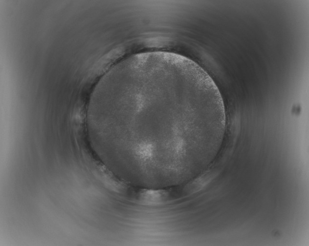 X0000112860277200909181808