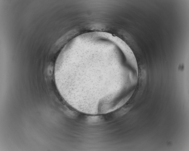 X0000112860281200909181808