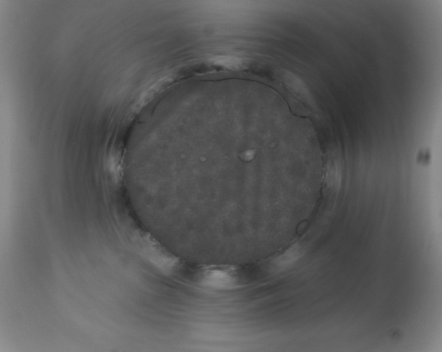 X0000112860285200909181808