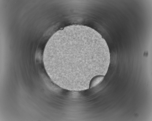 X0000112860287200909181808