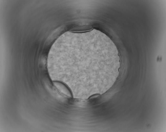 X0000112860288200909181808