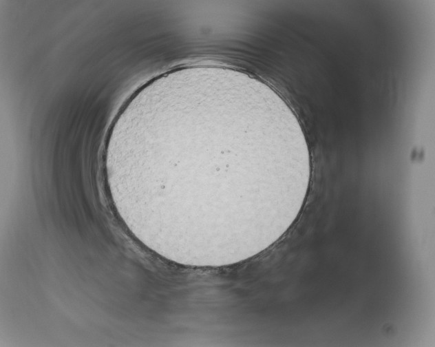 X0000112860289200909181808