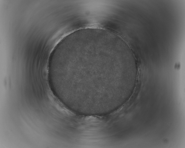 X0000112860290200909181808
