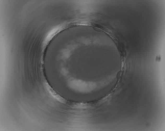 X0000112860293200909181808