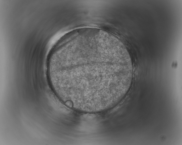 X0000112860294200909181808