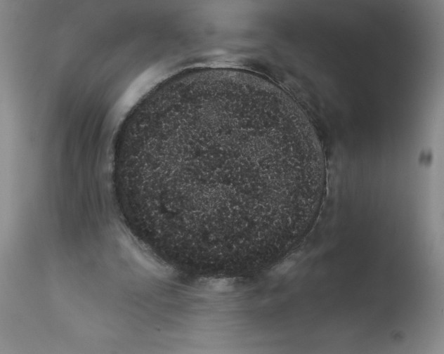 X0000112860295200909181808