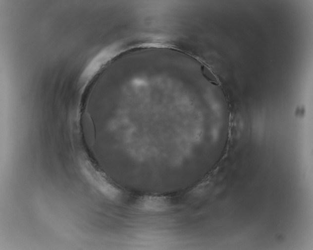 X0000112860296200909181808