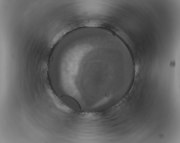 X0000112860297200909181808