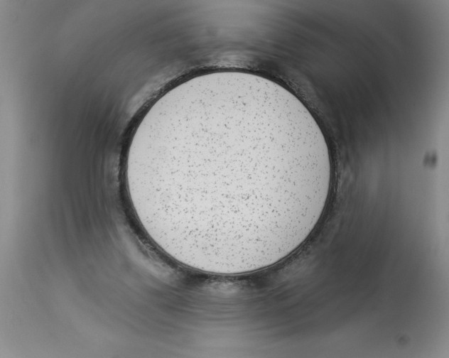 X0000112860299200909181807
