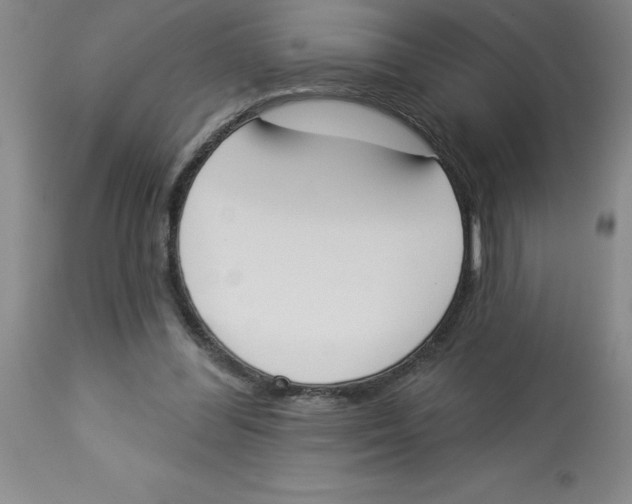 X0000112860300200909181807