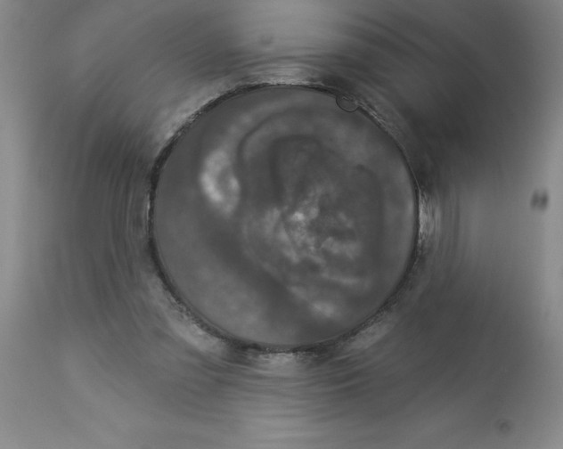 X0000112860301200909181807
