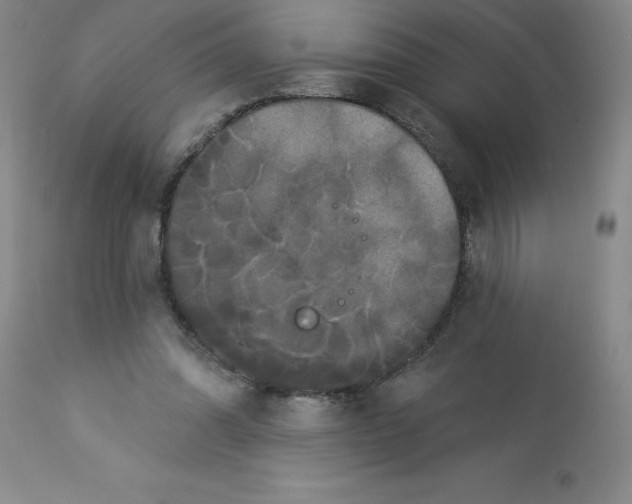 X0000112860302200909181807