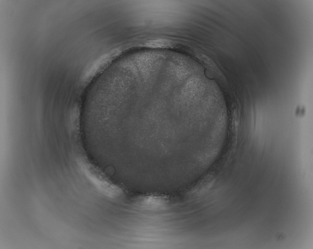 X0000112860303200909181807