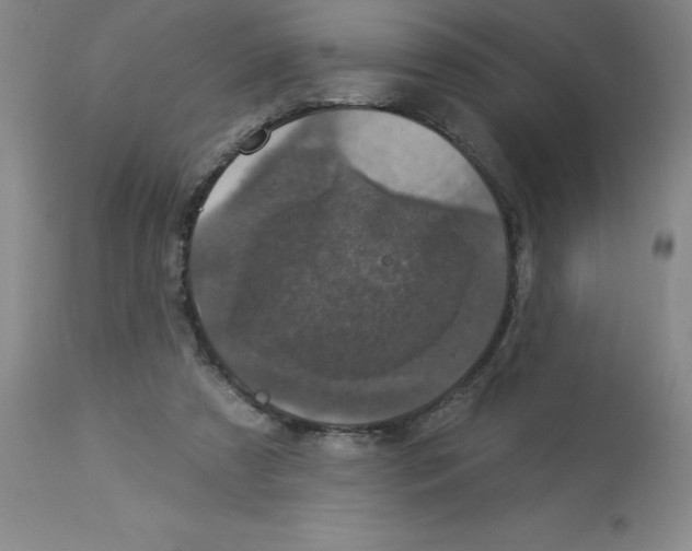 X0000112860305200909181807
