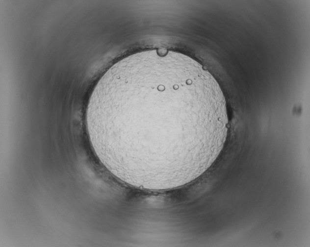 X0000112860306200909181807