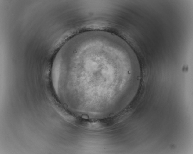X0000112860309200909181807