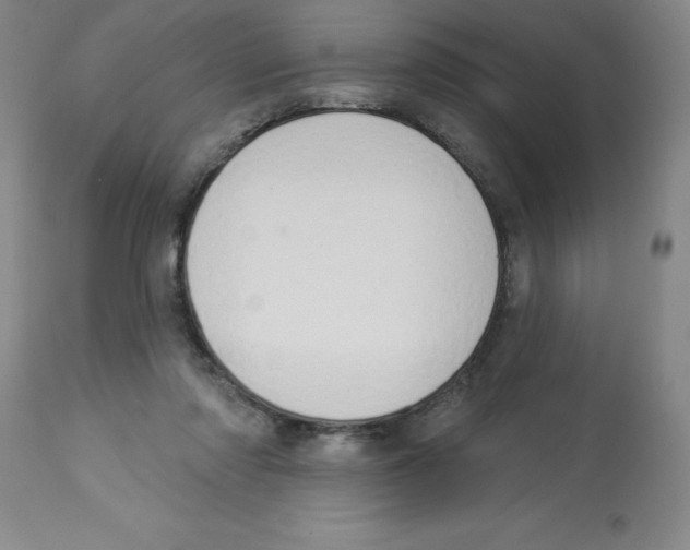 X0000112860310200909181807