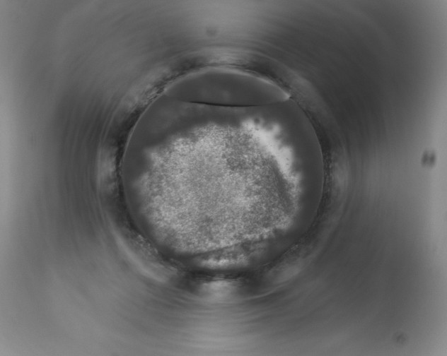 X0000112860312200909181807