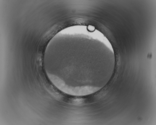 X0000112860313200909181807