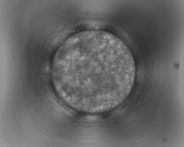 X0000112860314200909181807