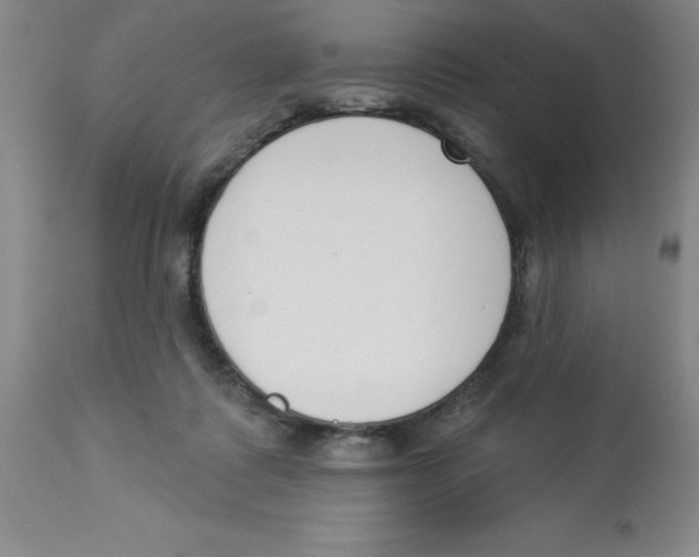 X0000112860315200909181807