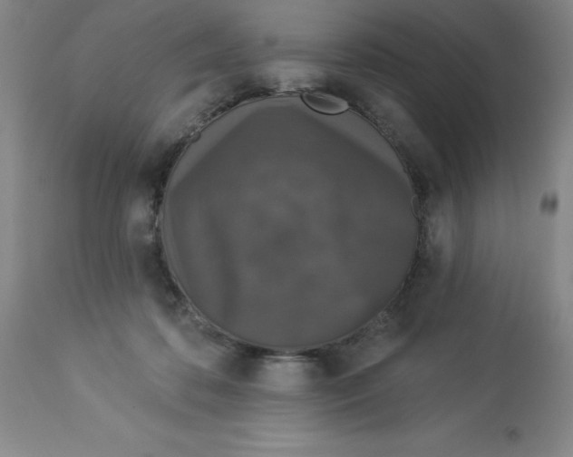 X0000112860316200909181807