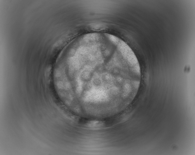 X0000112860319200909181807