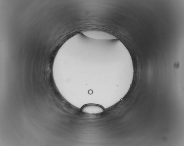 X0000112860320200909181807