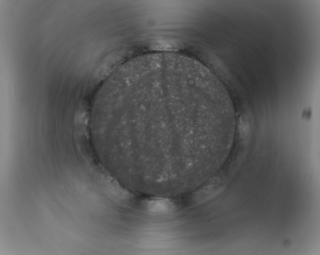 X0000112860322200909181807