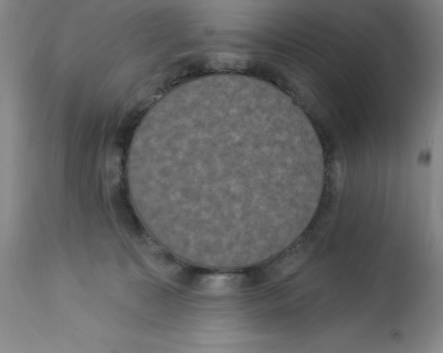 X0000112860323200909181807