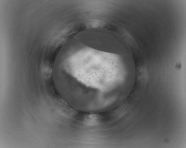 X0000112860324200909181807