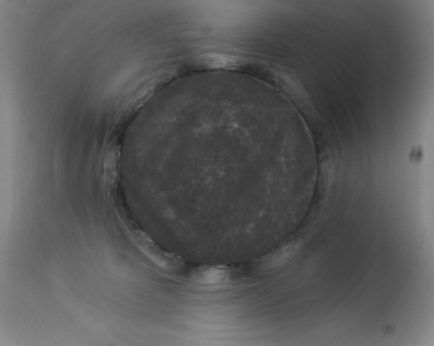 X0000112860325200909181807