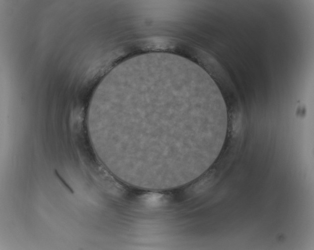 X0000112860326200909181807