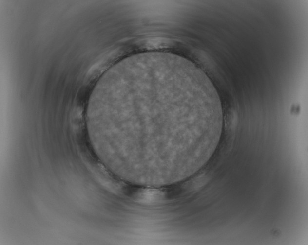 X0000112860327200909181807