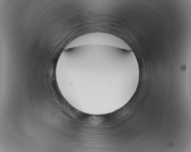 X0000112860328200909181807
