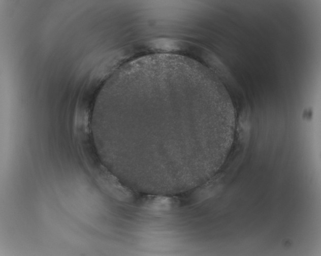 X0000112860330200909181807