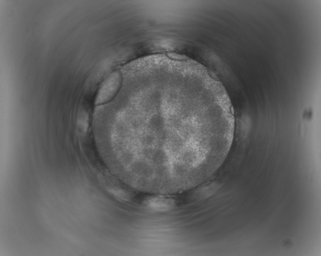 X0000112860331200909181807